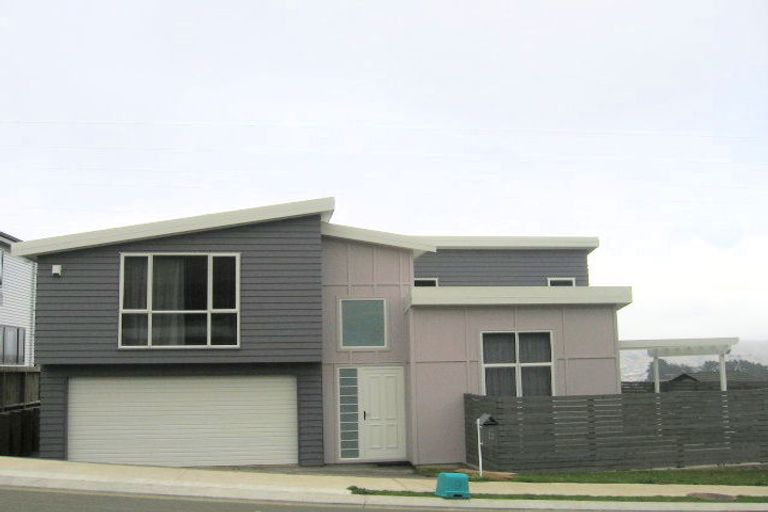 Photo of property in 6 Cedarwood Street, Woodridge, Wellington, 6037