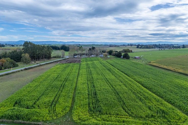 Photo of property in 414 Naughton Road, Kerrytown, Timaru, 7975