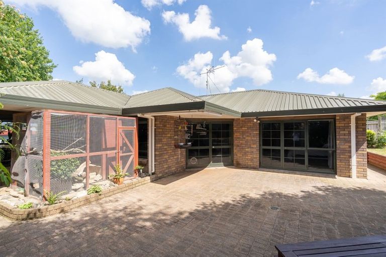 Photo of property in 52 Western Heights Drive, Western Heights, Hamilton, 3200