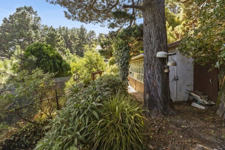 Photo of property in 21 Nikau Road, Point Howard, Lower Hutt, 5013