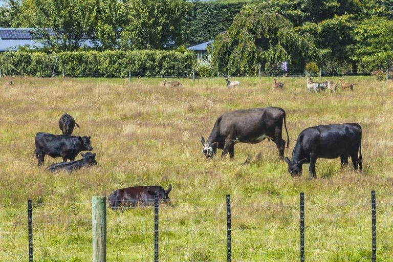 Photo of property in 24 Inglis Road, Okuku, Rangiora, 7473
