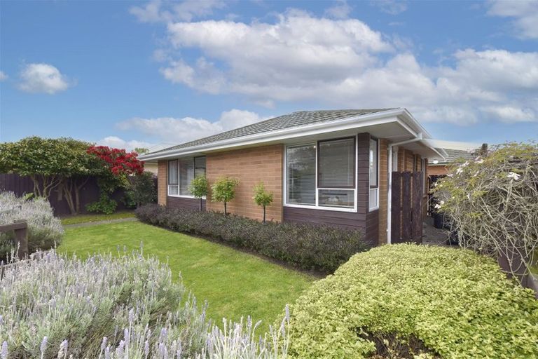 Photo of property in 1/26 Trafalgar Street, St Albans, Christchurch, 8014