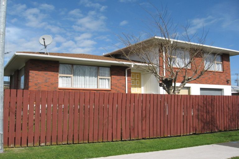 Photo of property in 4 Treadwell Street, Springvale, Whanganui, 4501