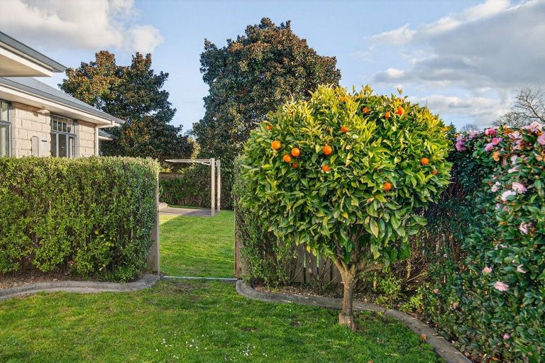 Photo of property in 15 Grace Avenue, Leamington, Cambridge, 3432