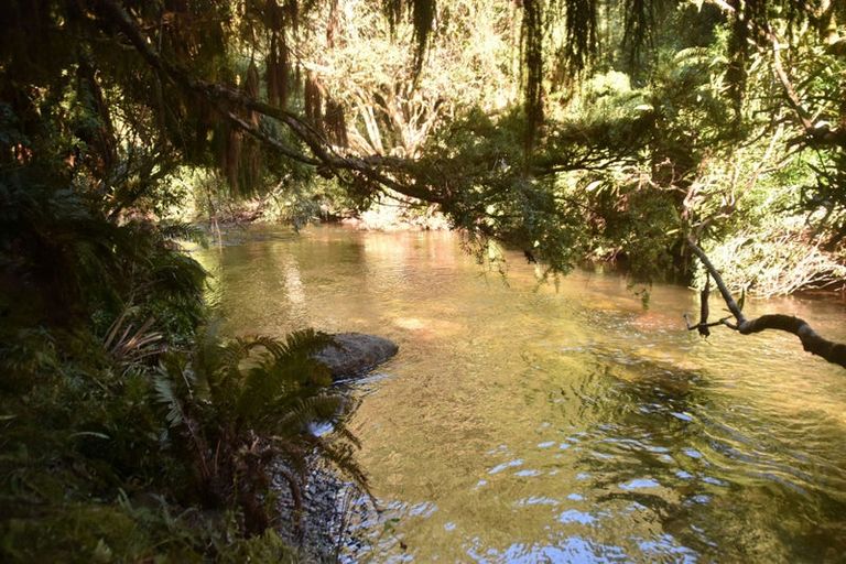 Photo of property in 2005 Ongarue Stream Road, Waimiha, 3998