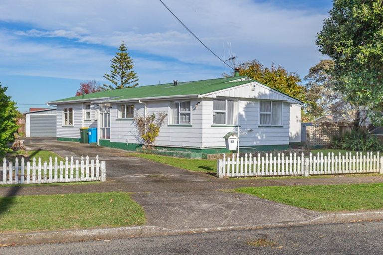 Photo of property in 47 Duke Street, Levin, 5510