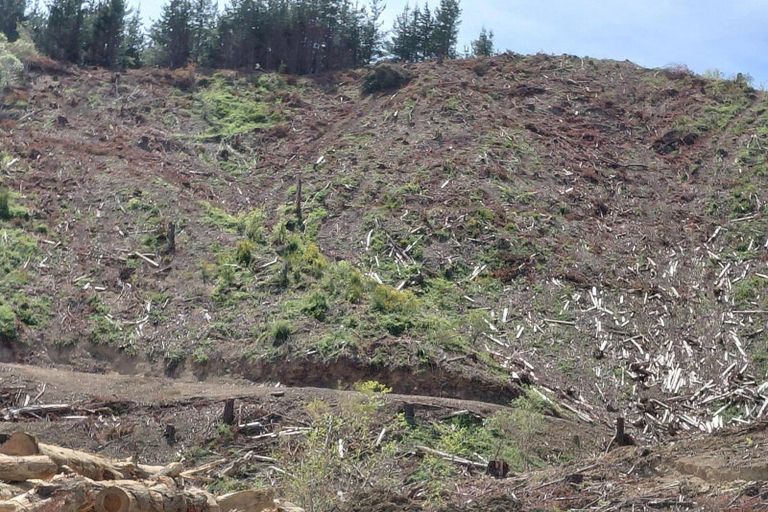 Photo of property in 80 Ross Road, Hira, 7071