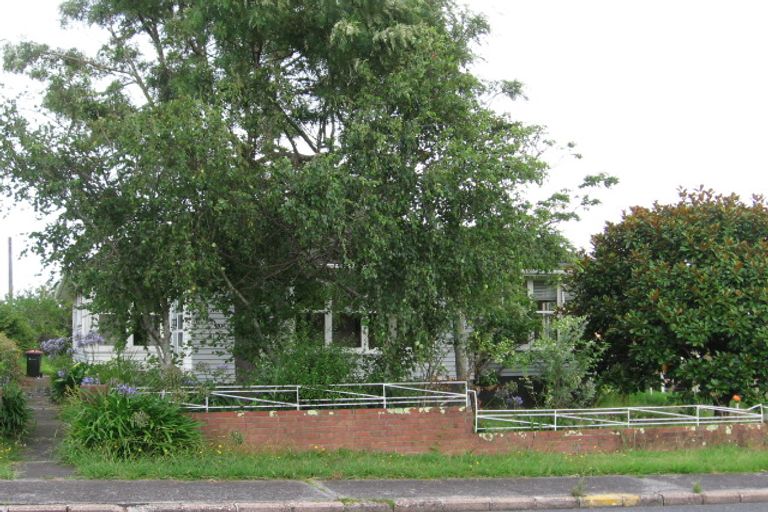 Photo of property in 38 Boyce Avenue, Mount Roskill, Auckland, 1041