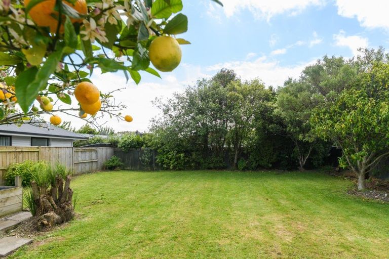Photo of property in 42 Nottingham Avenue, Awapuni, Palmerston North, 4412