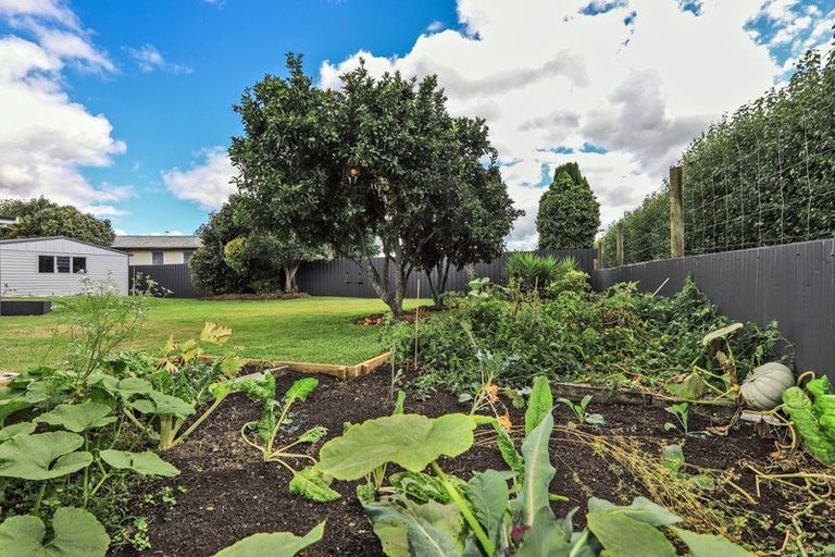 Photo of property in 24 Deal Crescent, Flaxmere, Hastings, 4120