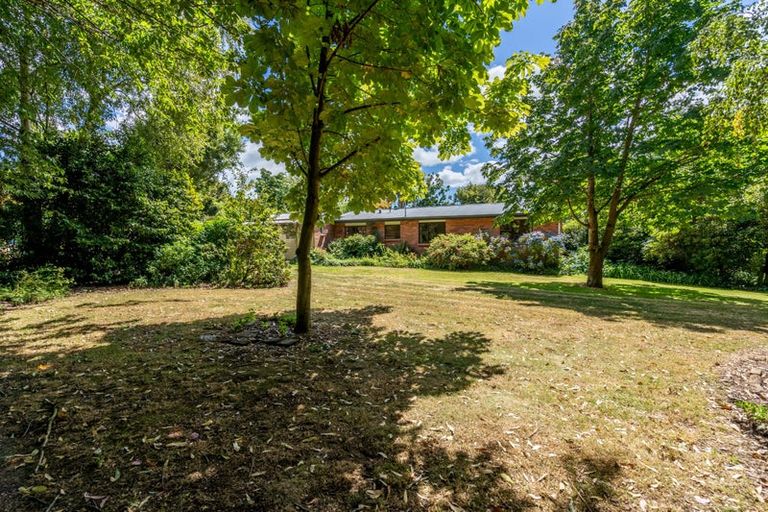 Photo of property in 297 Thornbury Waimatuku Road, Flints Bush, Riverton, 9883