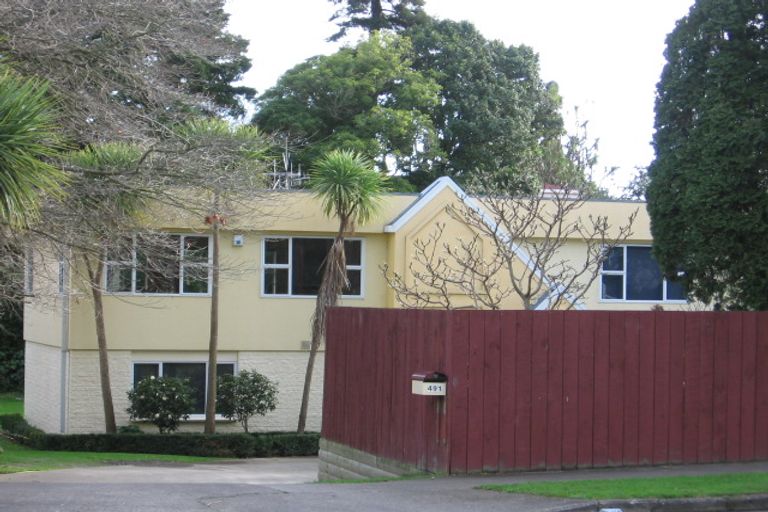 Photo of property in 491 College Street, Hokowhitu, Palmerston North, 4410