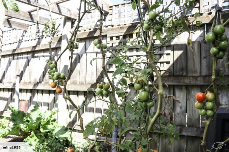 Photo of property in 24 Richmond Street, Petone, Lower Hutt, 5012