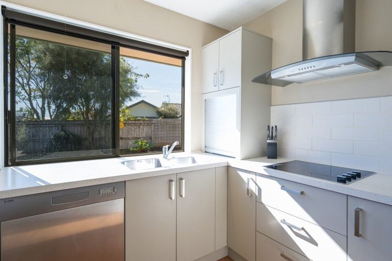 Photo of property in 19 Appaloosa Avenue, Richmond, 7020