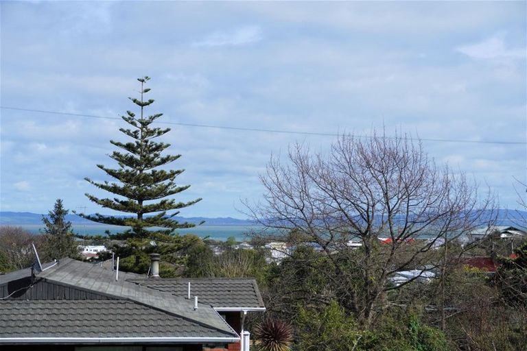 Photo of property in 301 The Terrace, Thames, 3500