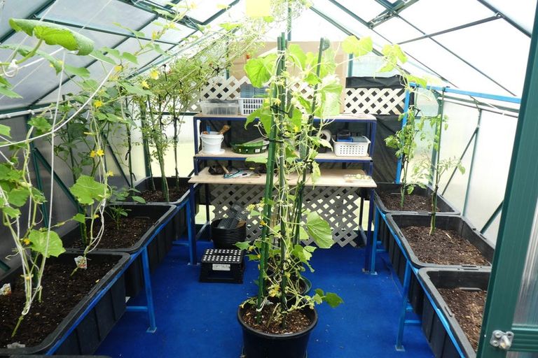 Photo of property in 2 Northwood Avenue, Pukenui, Kaitaia, 0484