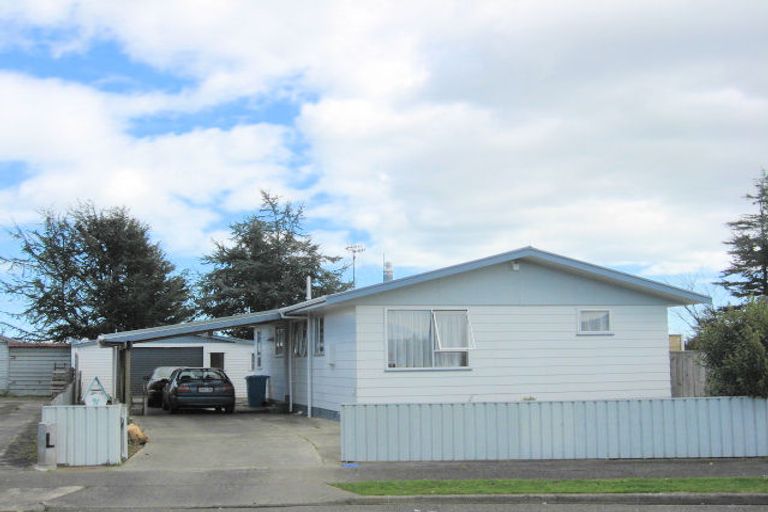 Photo of property in 91 Strathmore Avenue, Levin, 5510