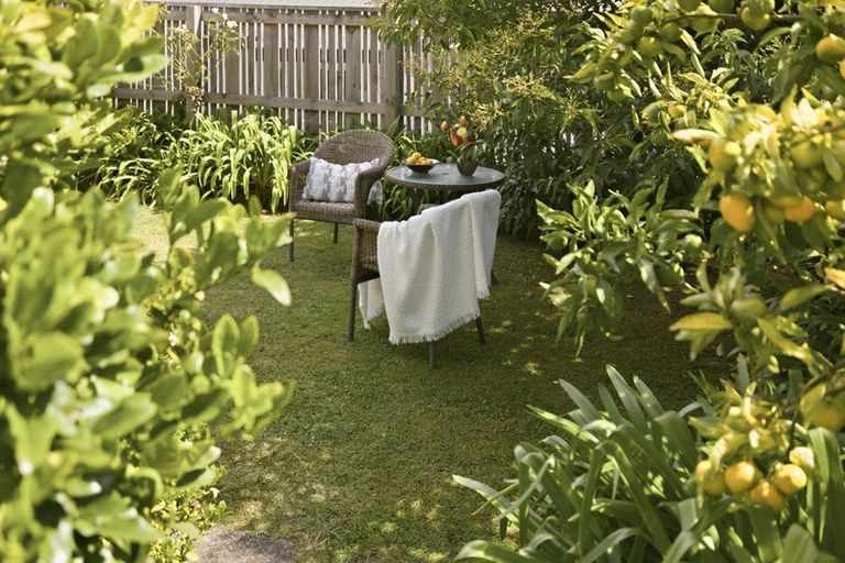 Photo of property in 11 Lincoln Terrace, Gate Pa, Tauranga, 3112