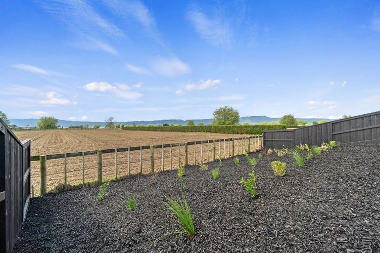 Photo of property in 45 Rangitihi Street, Matamata, 3400