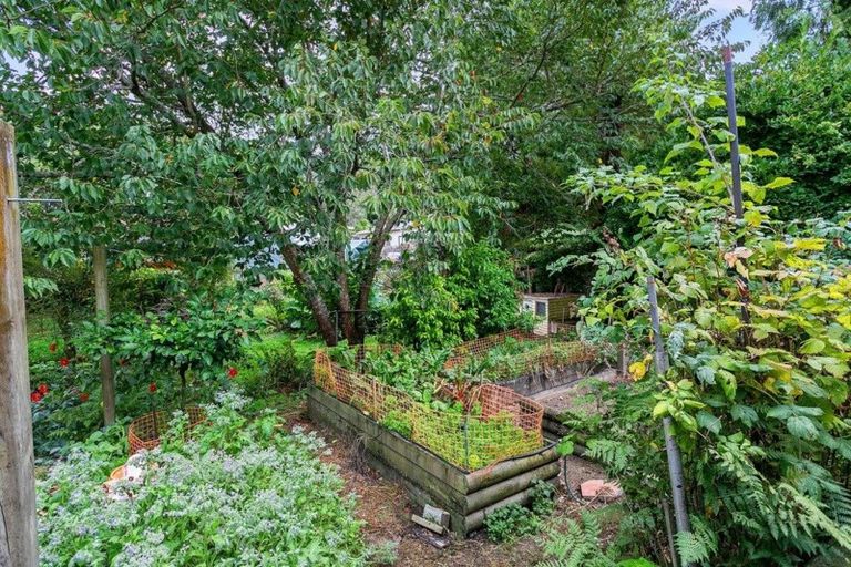 Photo of property in 38 Overdale Street, Putaruru, 3411