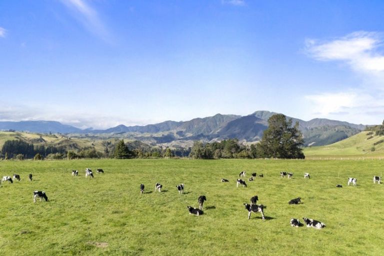 Photo of property in 1 Takapari Road, Pohangina, Ashhurst, 4884