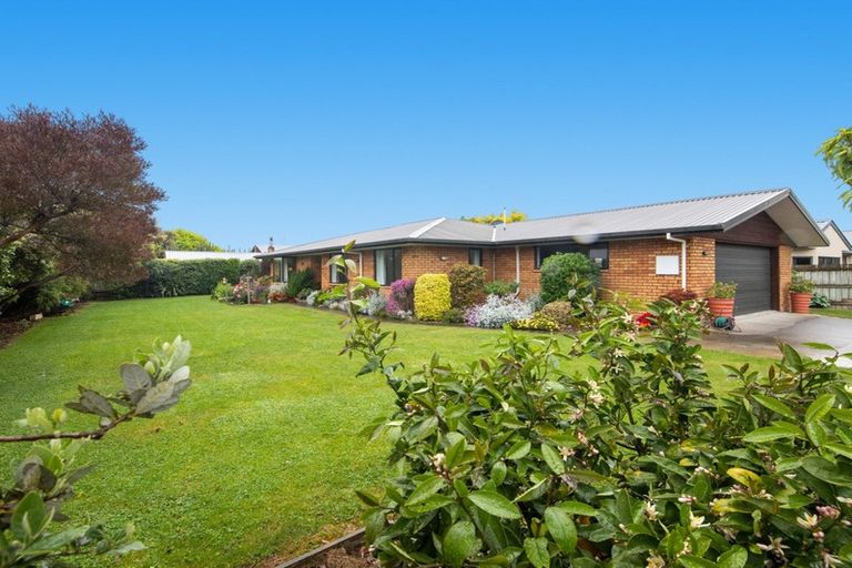 Photo of property in 69 Kowhai Drive, Renwick, 7204