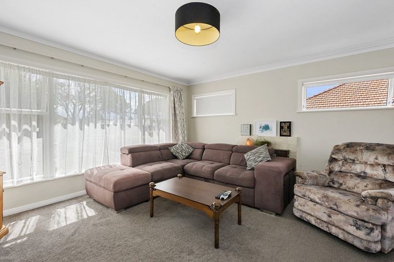 Photo of property in 100 Clarkin Road, Fairfield, Hamilton, 3214