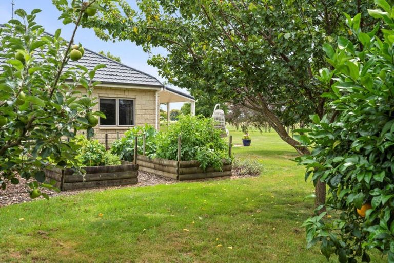 Photo of property in 163 Flume Road, Te Miro, Cambridge, 3496