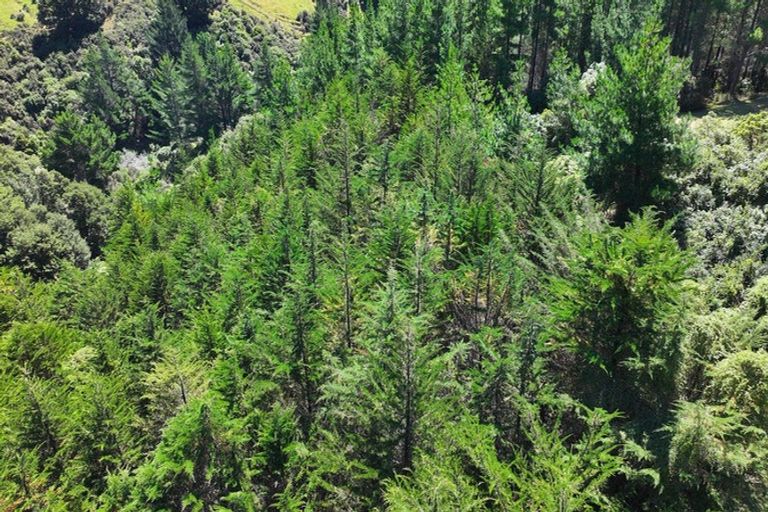 Photo of property in 3244 Ngahape Road, Stronvar, Masterton, 5890