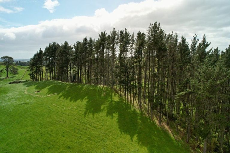 Photo of property in 717 Wright Road, Aongatete, 3181