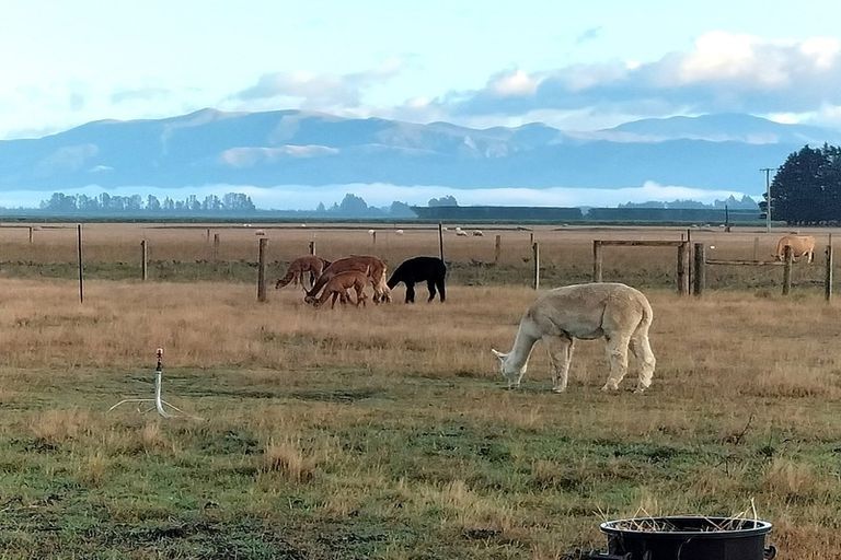 Photo of property in 529 Downs Road, Eyrewell, Rangiora, 7476