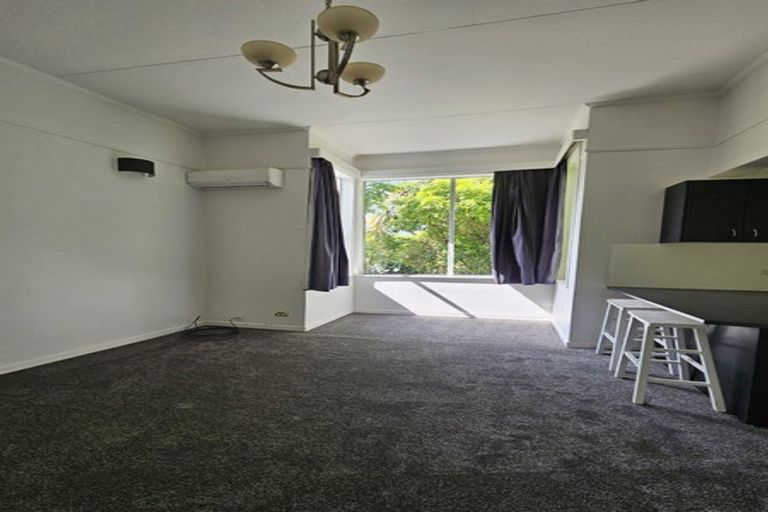 Photo of property in 159 Glenmore Street, Kelburn, Wellington, 6012