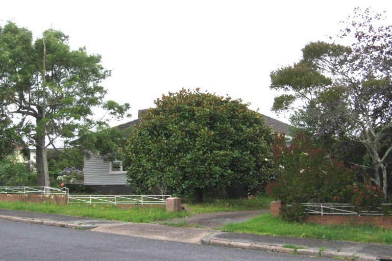 Photo of property in 38 Boyce Avenue, Mount Roskill, Auckland, 1041