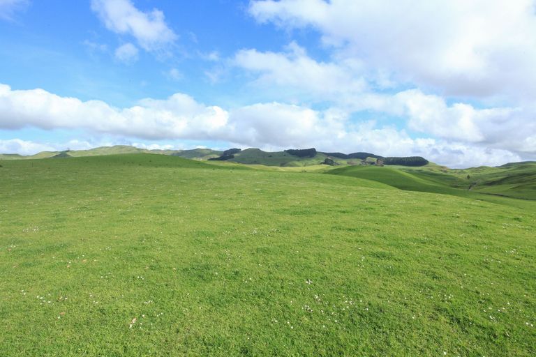 Photo of property in 30 Van Houtte Road, Raglan, 3295