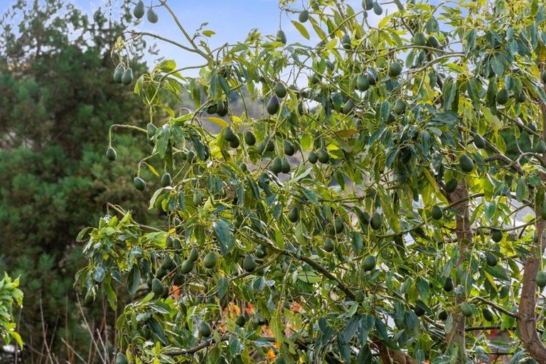 Photo of property in 3 D'urville Way, Welcome Bay, Tauranga, 3112