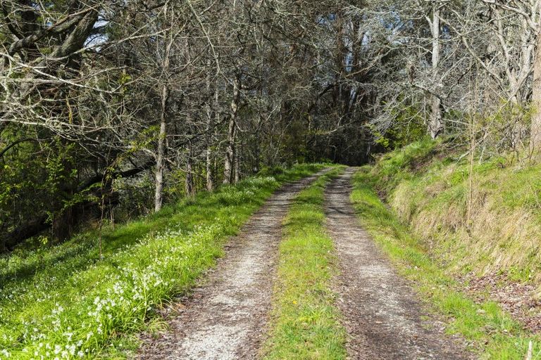 Photo of property in 717 Totangi Road, Ngatapa, Gisborne, 4072