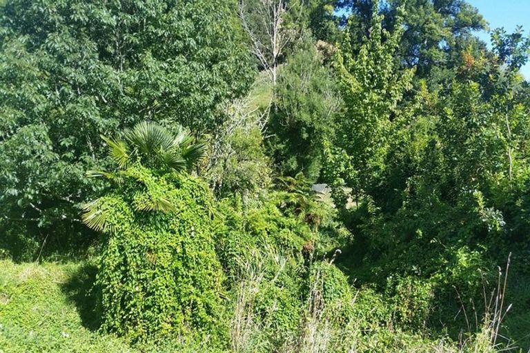 Photo of property in 25 Valley Road, Manunui, Taumarunui, 3924