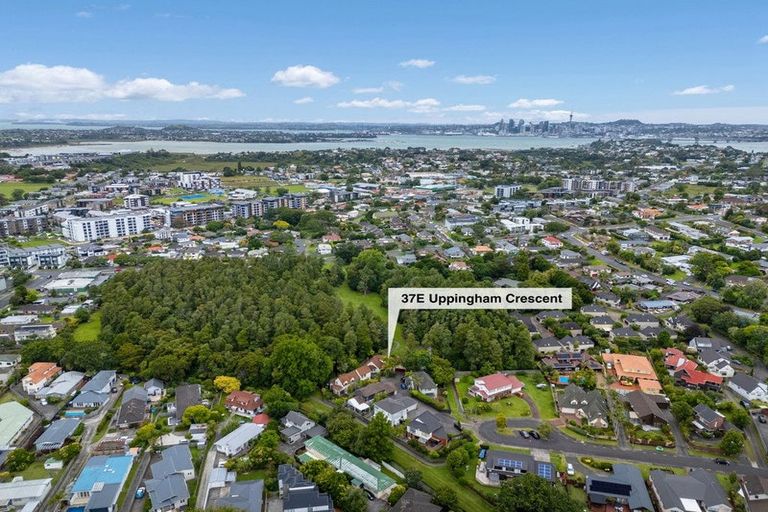 Photo of property in 5/37 Uppingham Crescent, Hillcrest, Auckland, 0627