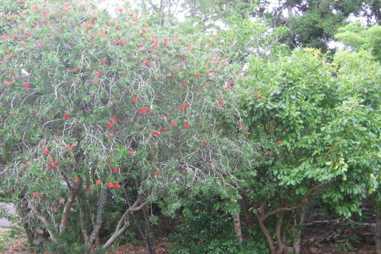 Photo of property in 29 Nigel Road, Browns Bay, Auckland, 0630