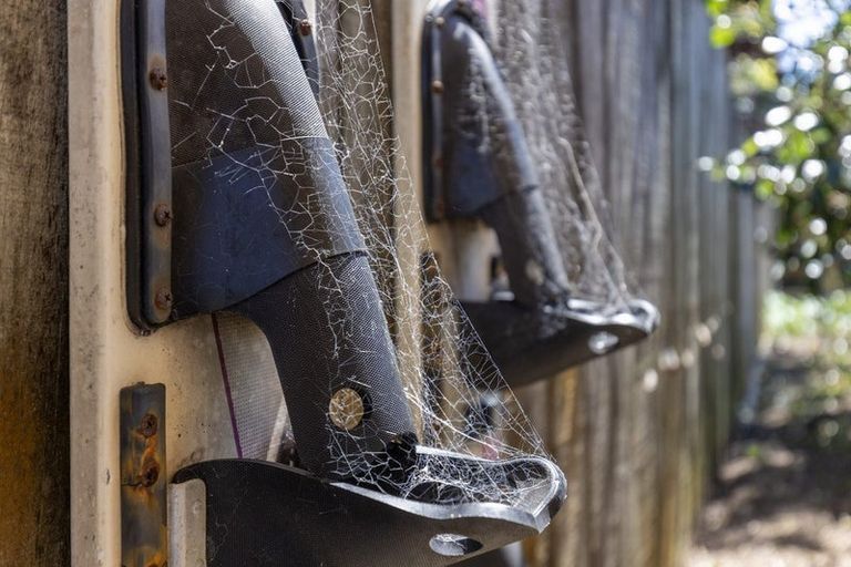 Photo of property in 2 Kanawa Street, Waikanae, 5036