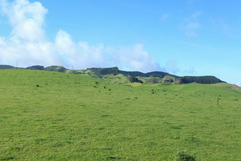 Photo of property in 42 Van Houtte Road, Raglan, 3295