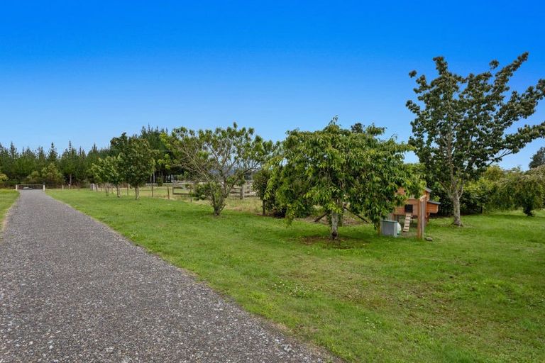 Photo of property in 493 Grieve Road, Te Teko, Whakatane, 3193