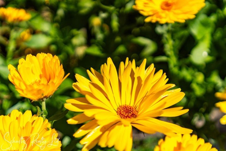 Photo of property in 10 Oxford Street, Whakapirau, Maungaturoto, 0583