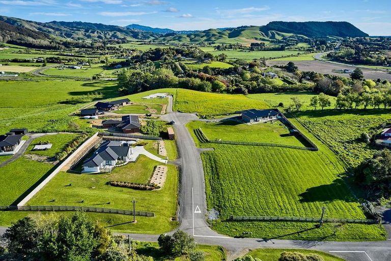 Photo of property in 8 Honoiti Ranapiri Place, Manakau, Levin, 5573