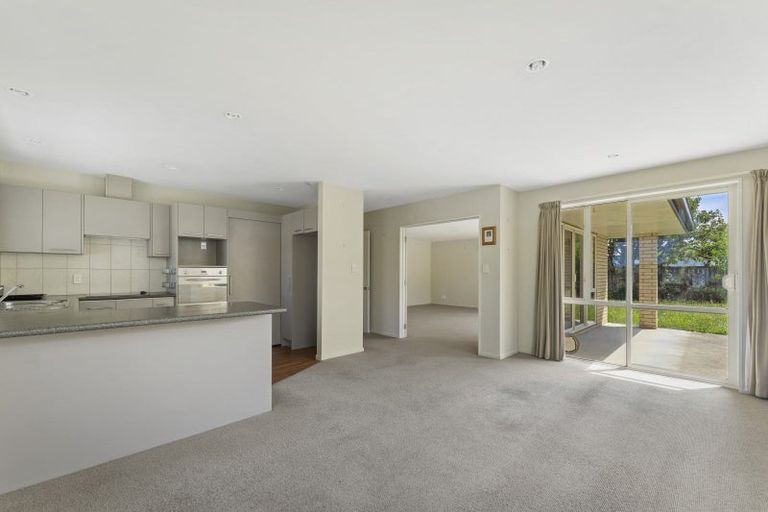 Photo of property in 22 Hilton Place, Blenheim, 7201