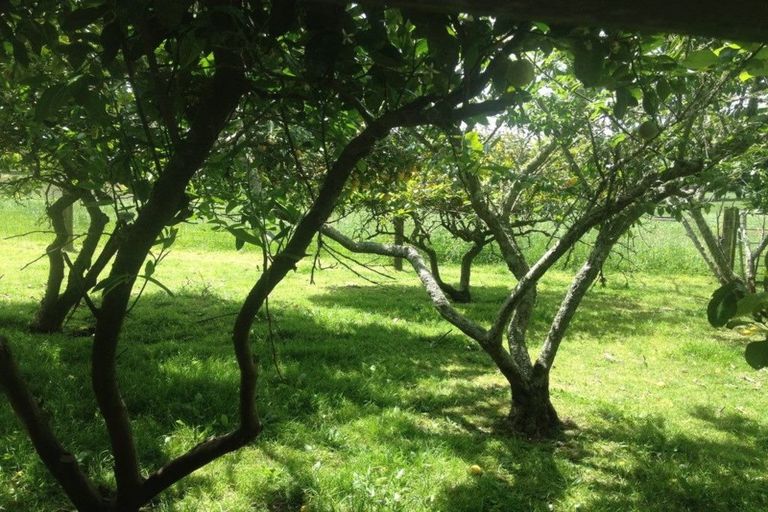 Photo of property in 124 Pukekapia Road, Rotongaro, Huntly, 3772