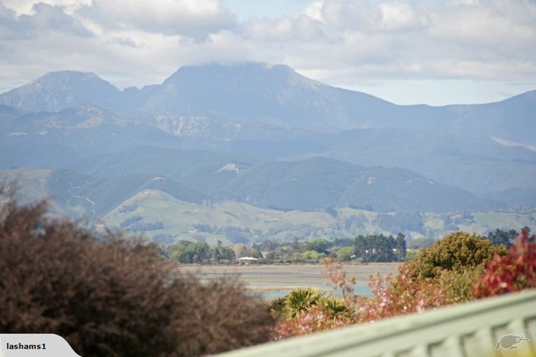 Photo of property in 8 Citrus Grove, Mapua, 7005