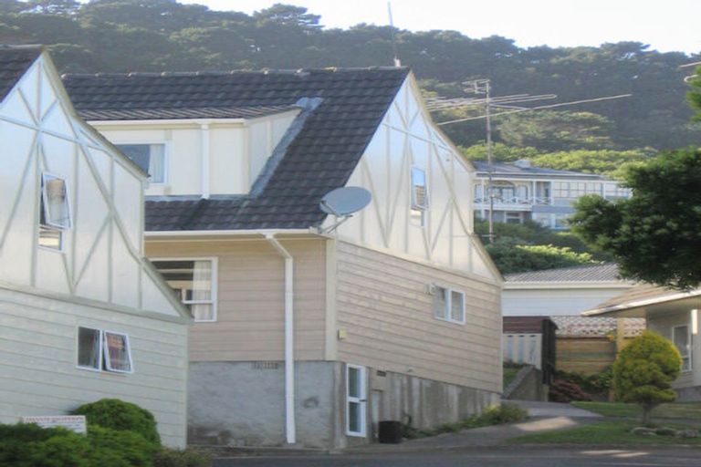 Photo of property in 44c Roxburgh Street, Mount Victoria, Wellington, 6011