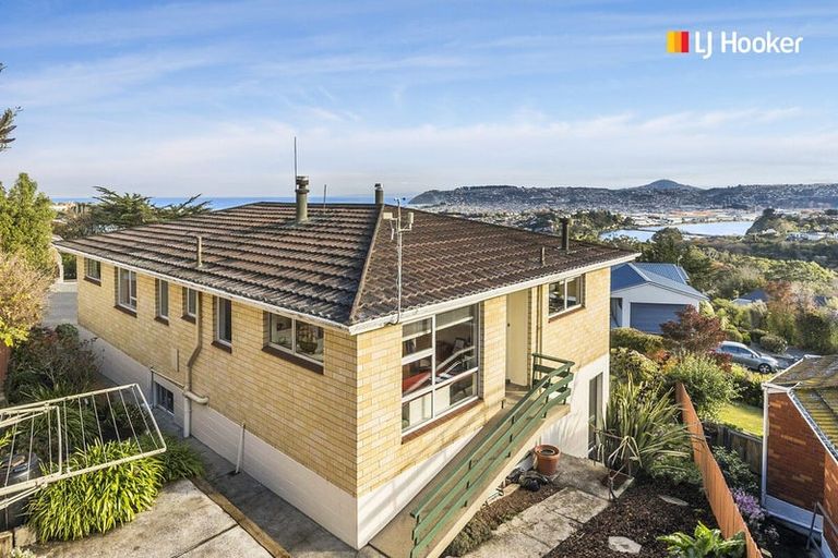 Photo of property in 24 Elliffe Place, Shiel Hill, Dunedin, 9013