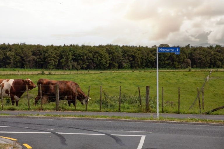 Photo of property in 11 Manawaroa Close, Grandview Heights, Hamilton, 3200